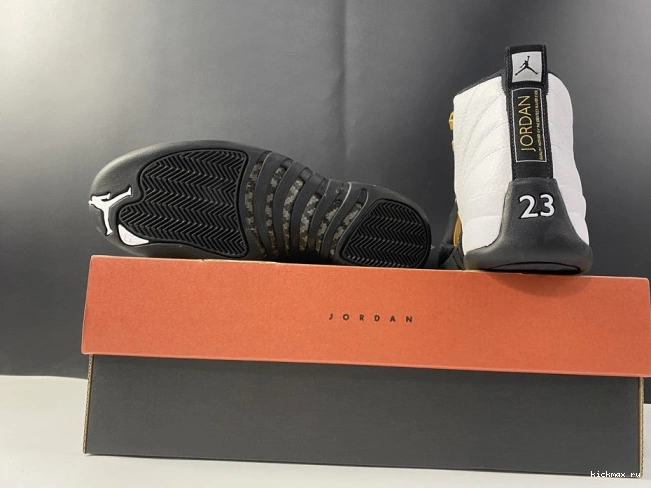 Cheap Royalty CT8013-170 Jordan Air 12 0816